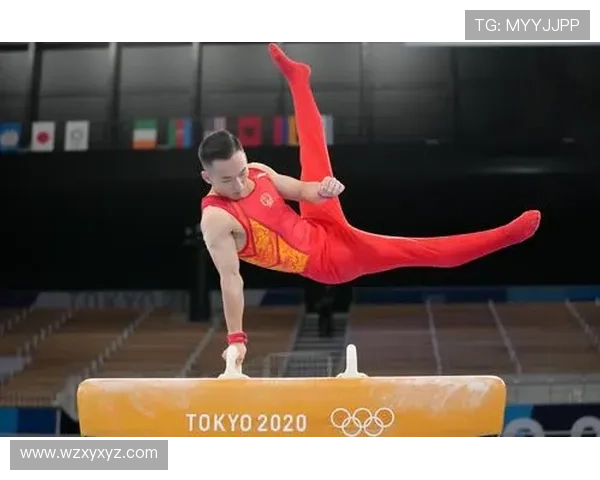 体操基础教程全攻略 从入门到进阶的全面训练方法与技巧解析 体操基础教程全攻略 从入门到进阶的全面训练方法与技巧解析