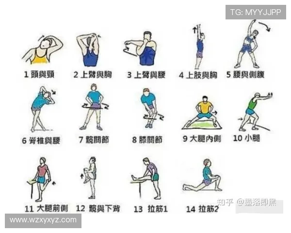 从入门到进阶的滑雪技巧系统分享与实战提升指南全面解析安全效率与控制要点